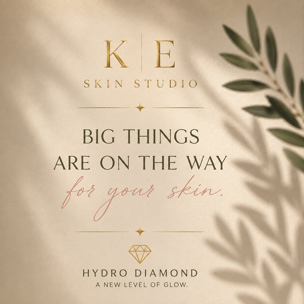 Hydro-Diamond facial treatment at the studio